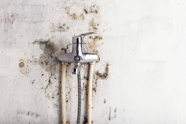 Best Emergency Mold Removal  in Snow Hill, MD