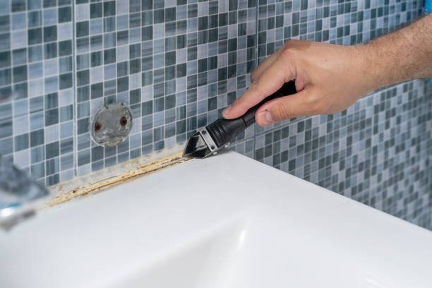 Best Residential Mold Removal  in Snow Hill, MD