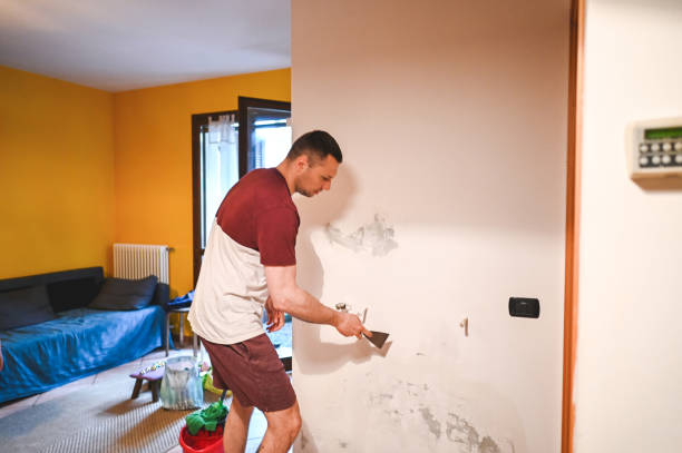 Best Toxic Mold Removal  in Snow Hill, MD